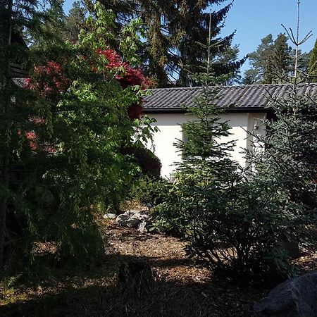 Ferienhaus Am Muehlenweg Winsen an der Aller Ngoại thất bức ảnh